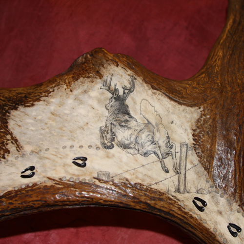 Jumping Whitetail Buck Scrimshaw - Montana Antler Works