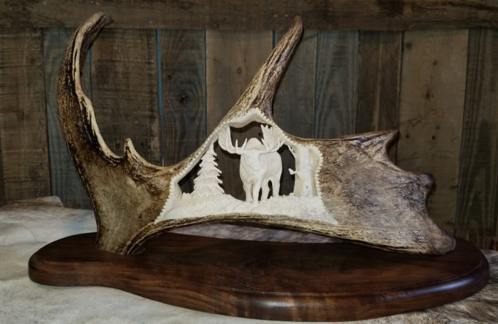 Personalized Moose Antler Carving - XL
